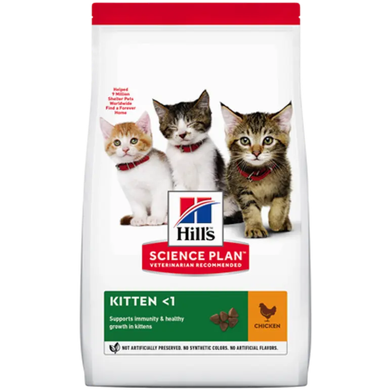 Kitten Healthy Development Chicken - Dry Cat Food