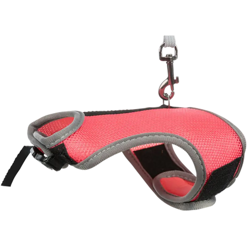 Soft Soft Harness with Leash Rabbit
