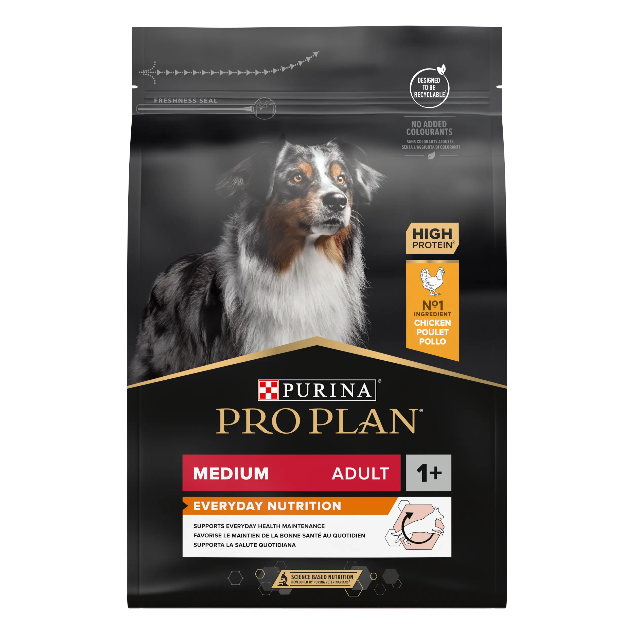 Medium Adult - EVERYDAY NUTRITION