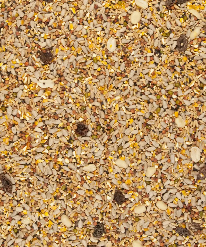 Menu Nature Clean garden Blend