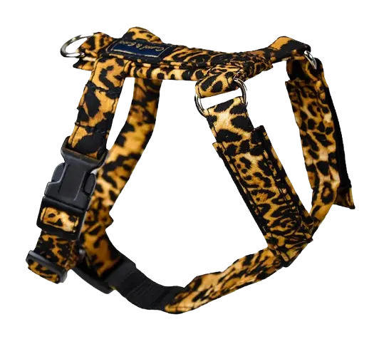 Kattsele Strap Leopard