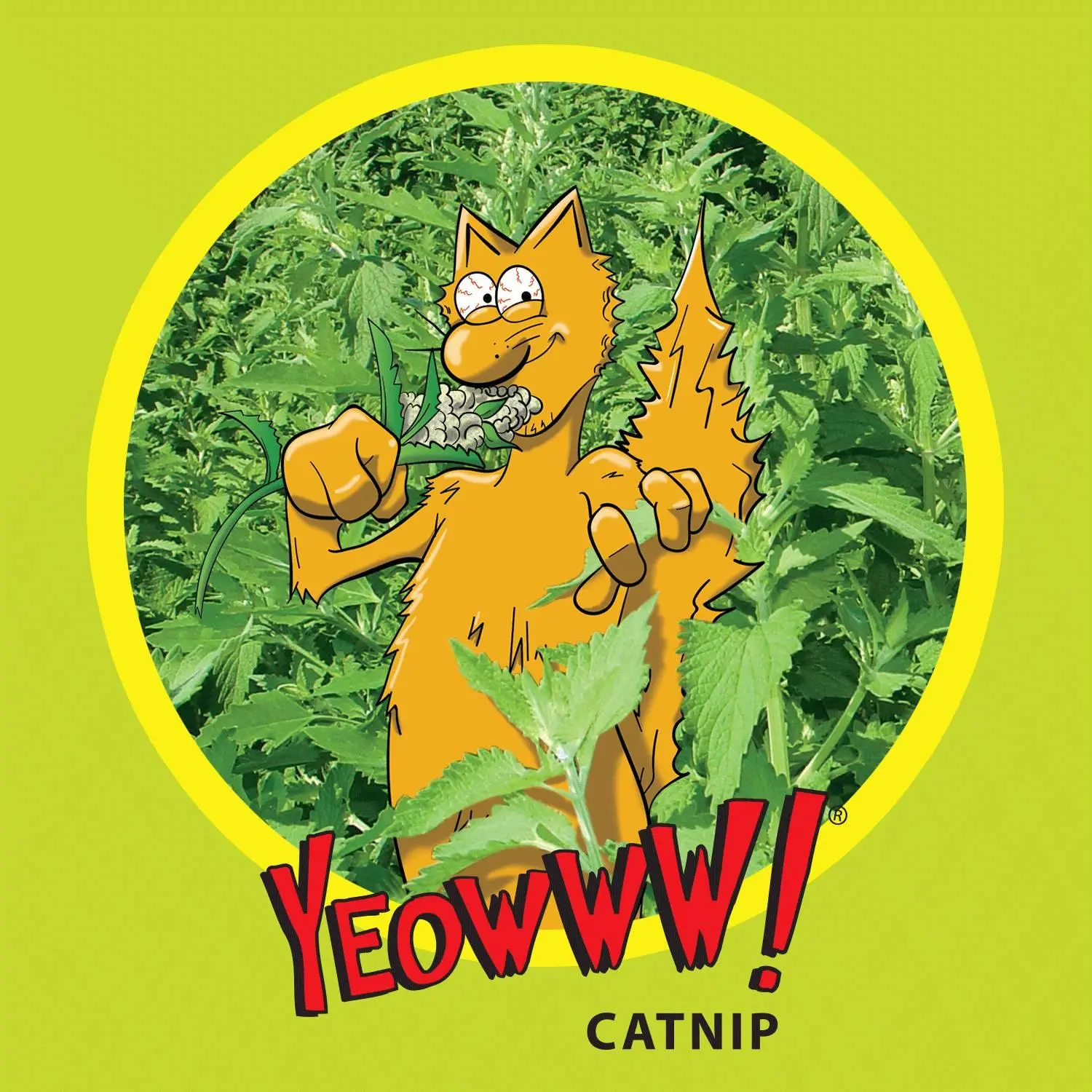 Catnip Cat Toy Heart Attack