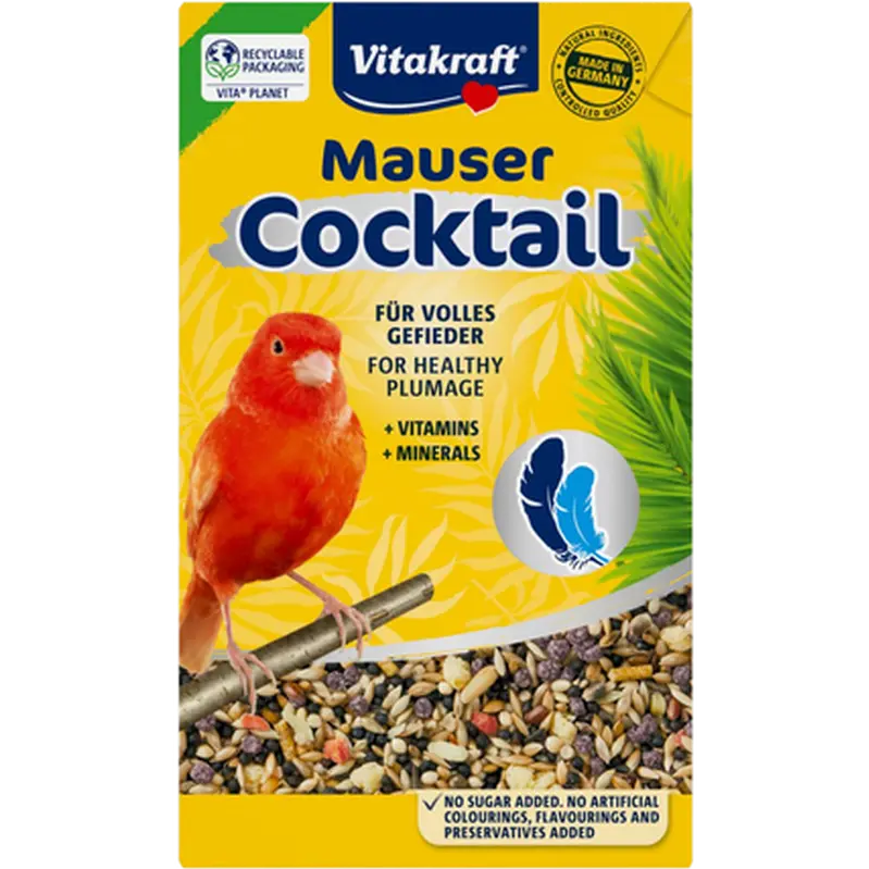 Moulting Cocktail Canary