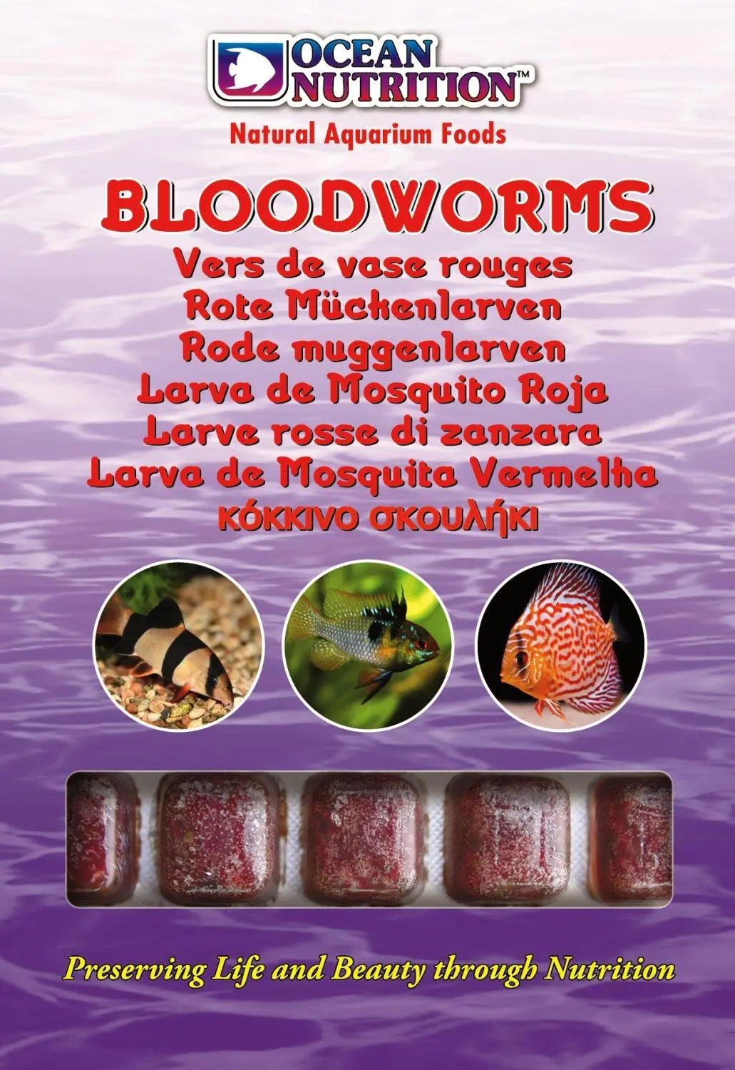 Frozen Bloodworms