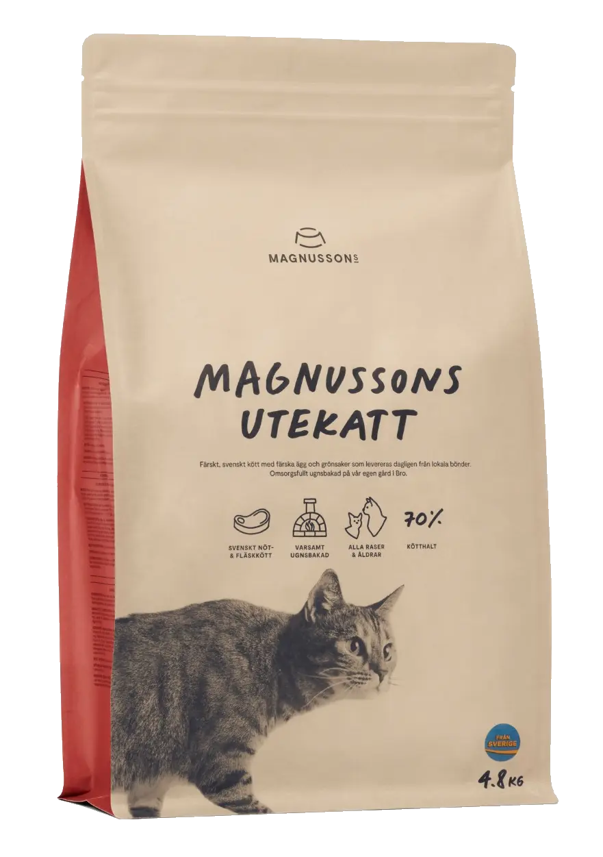 Utekatt