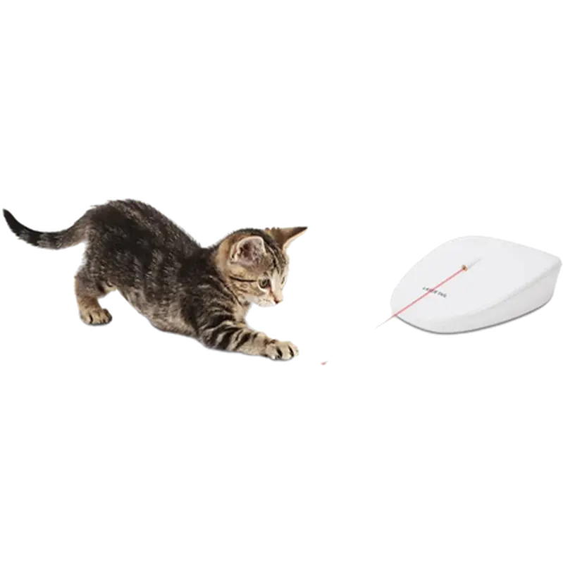 Laser Tail Light