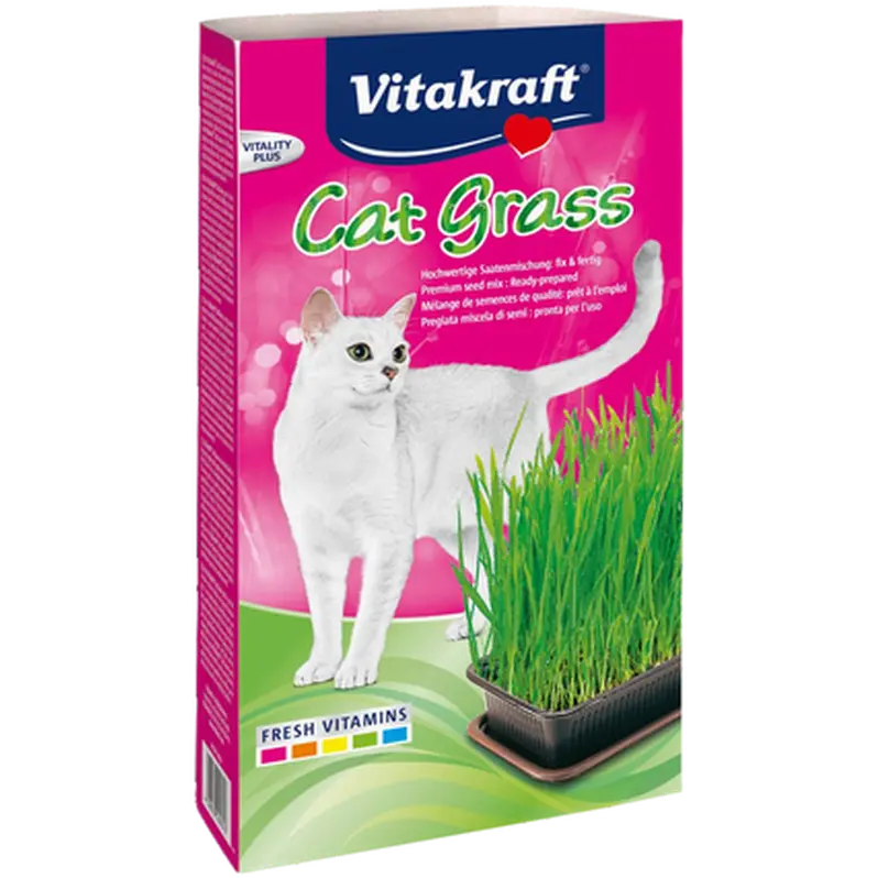 Kattgräs med Groddlåda