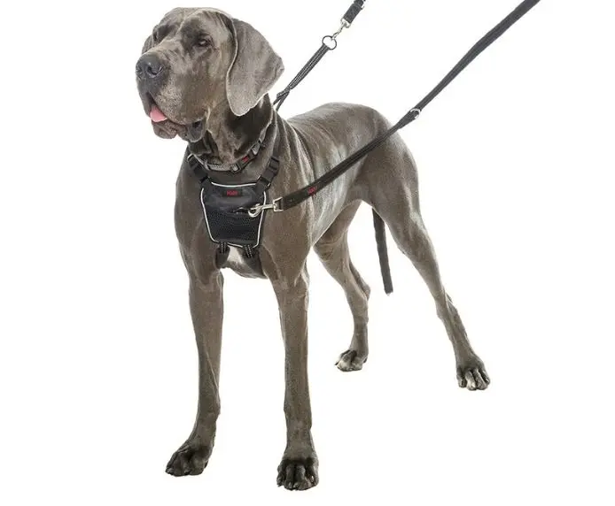 Non-Pull Harness Hundsele