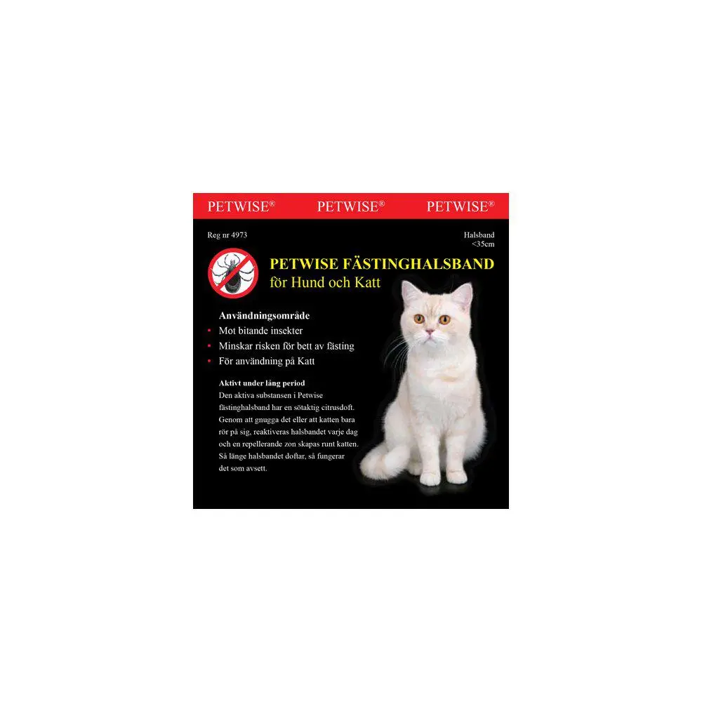 Fästinghalsband För Katt
