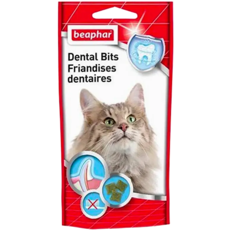 Dental Bits for Cats
