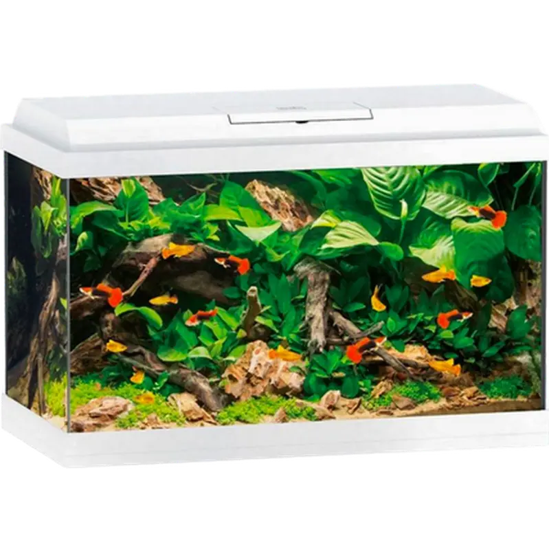 Akvarium Primo Vit