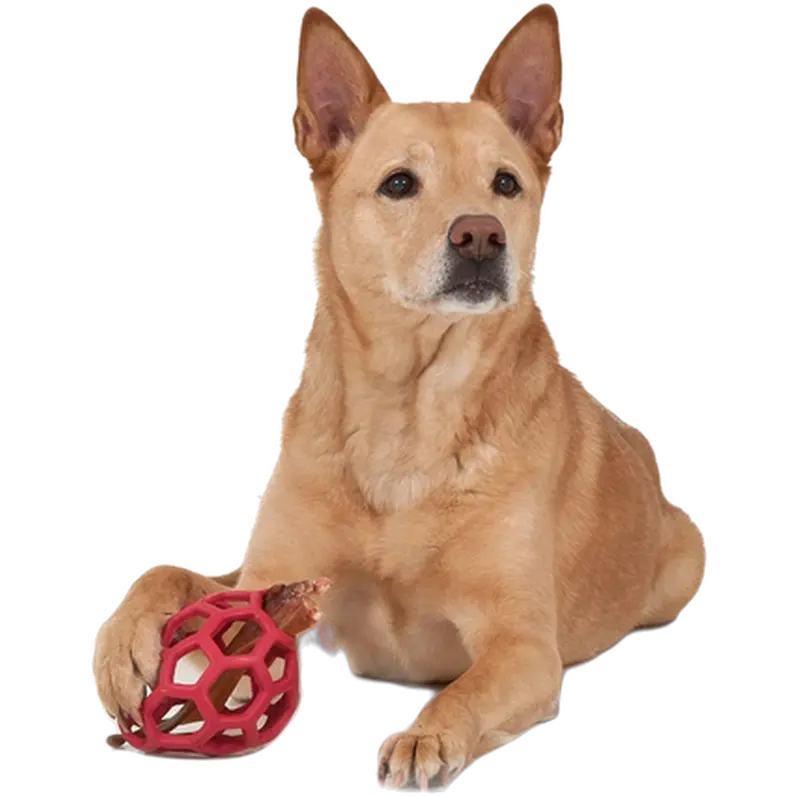 Hol-ee Bone Pet Squeak Tennis