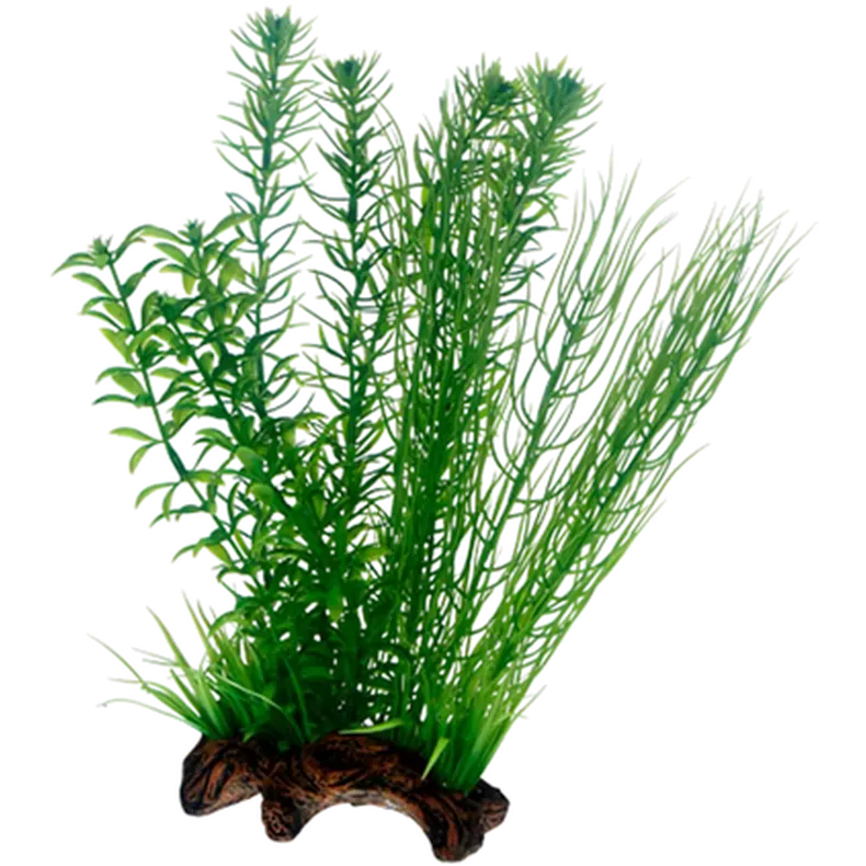 Flora Root 2