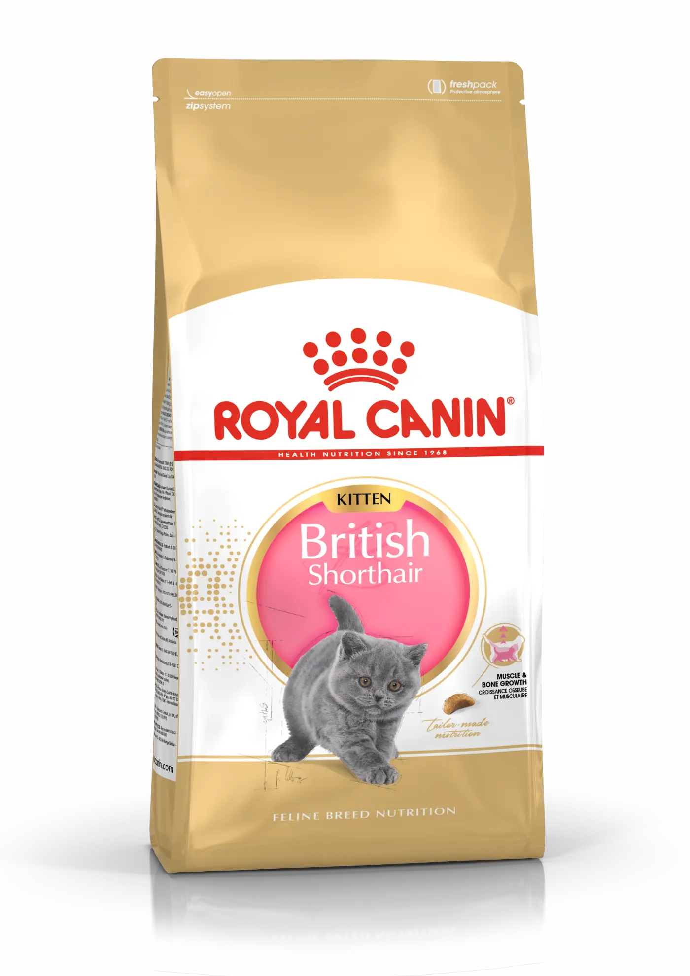 British Shorthair Kitten Torrfoder för kattunge