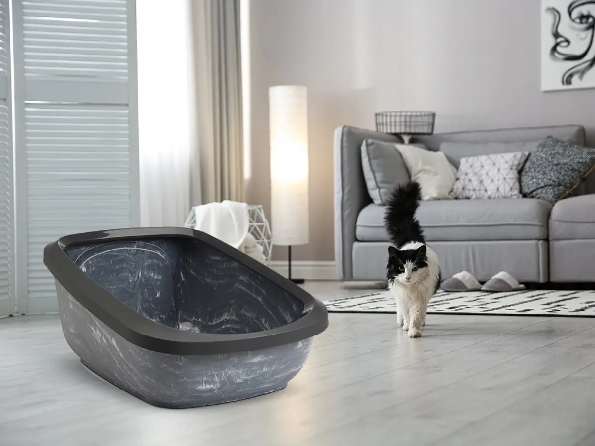 Kattlåda Aseo Jumbo Marble