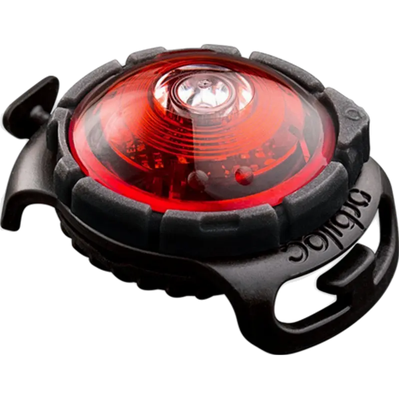 Safety Light Dog Dual LED - With Quick Mount & Adjustable Strap Red 5 km