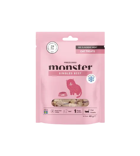 Cat Treats Freeze Dried Beef 40 g