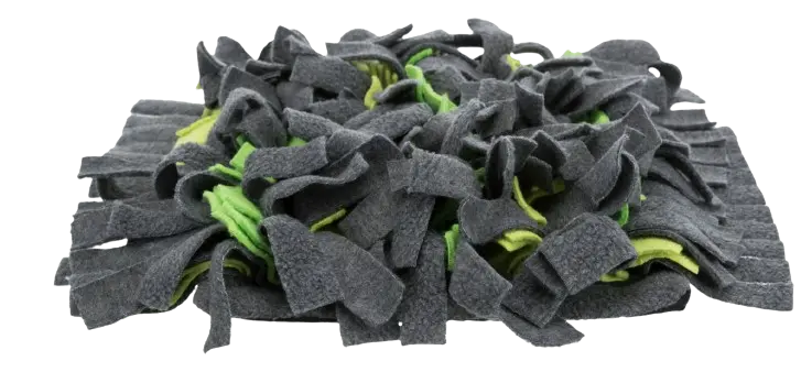 Aktivitetsfilt Sniffing Carpet