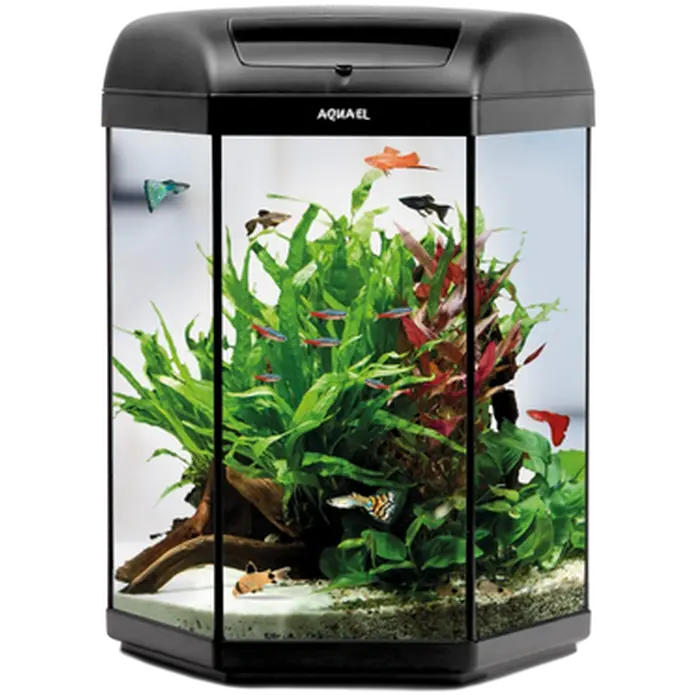Hexa-starterset LED Aquarium