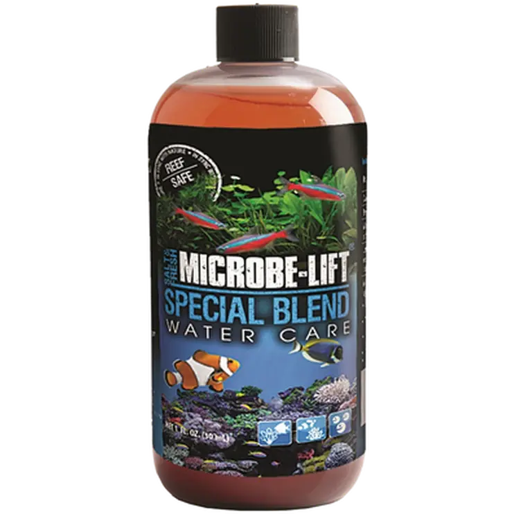 Special Blend