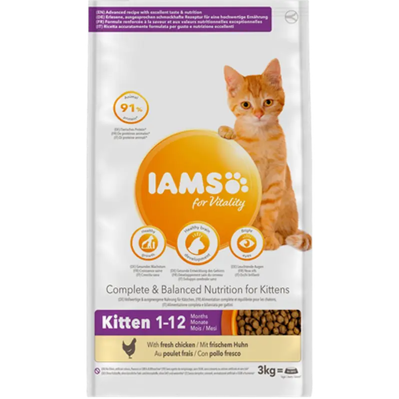 Cat Kitten Chicken - Torrfoder Katt