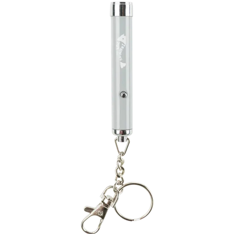 LED Pointer Catch the Light Fish