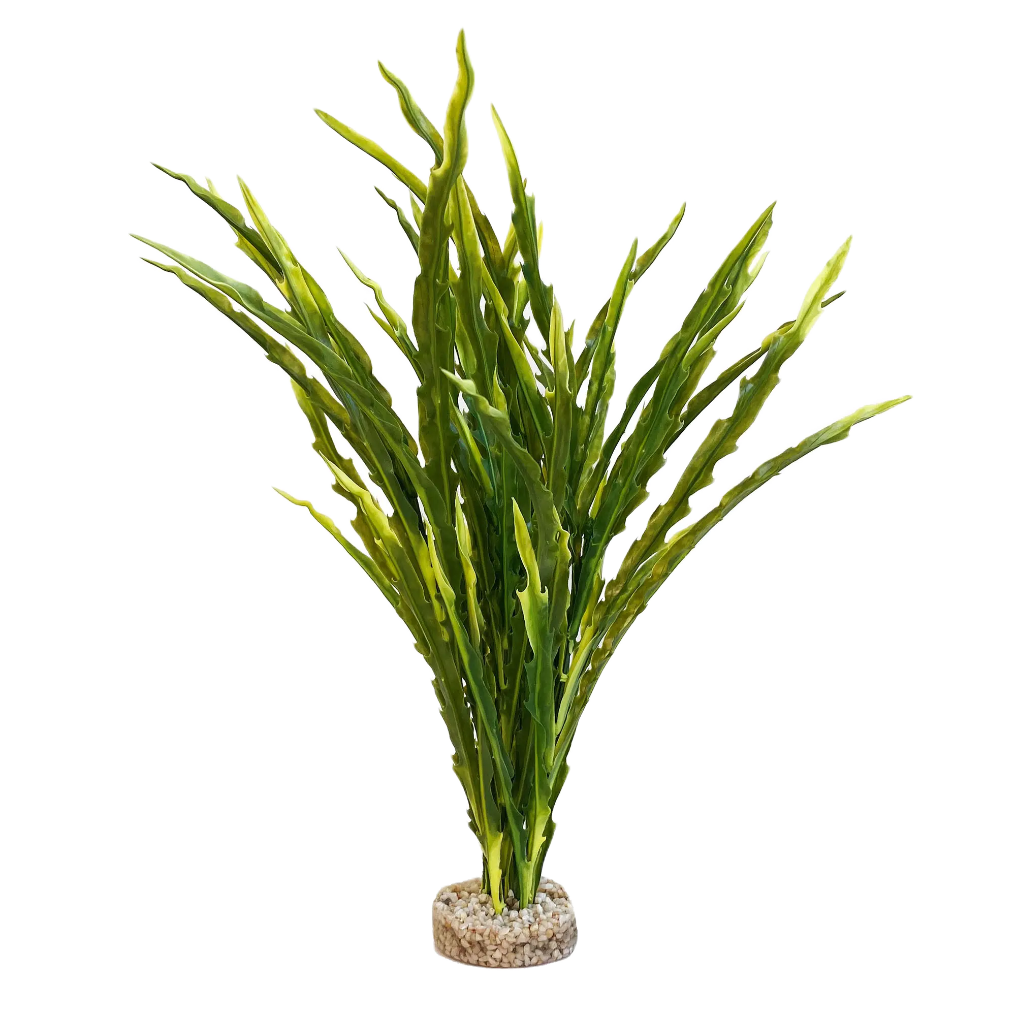 Plastväxt Majestic ocean plant