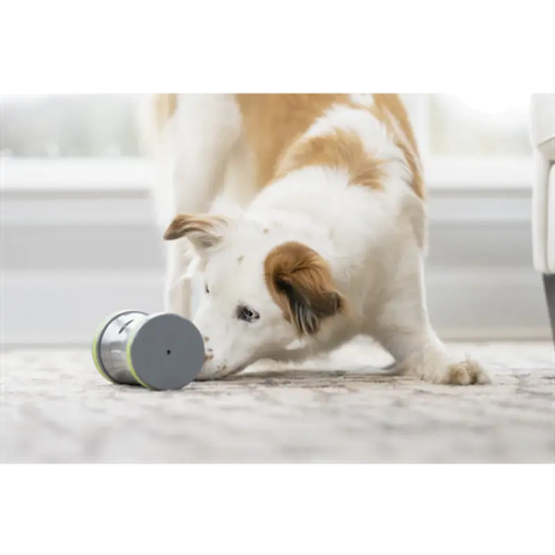 Kibble Chase Treat Dropper