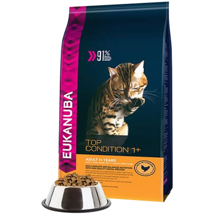 Cat Adult Top Condition