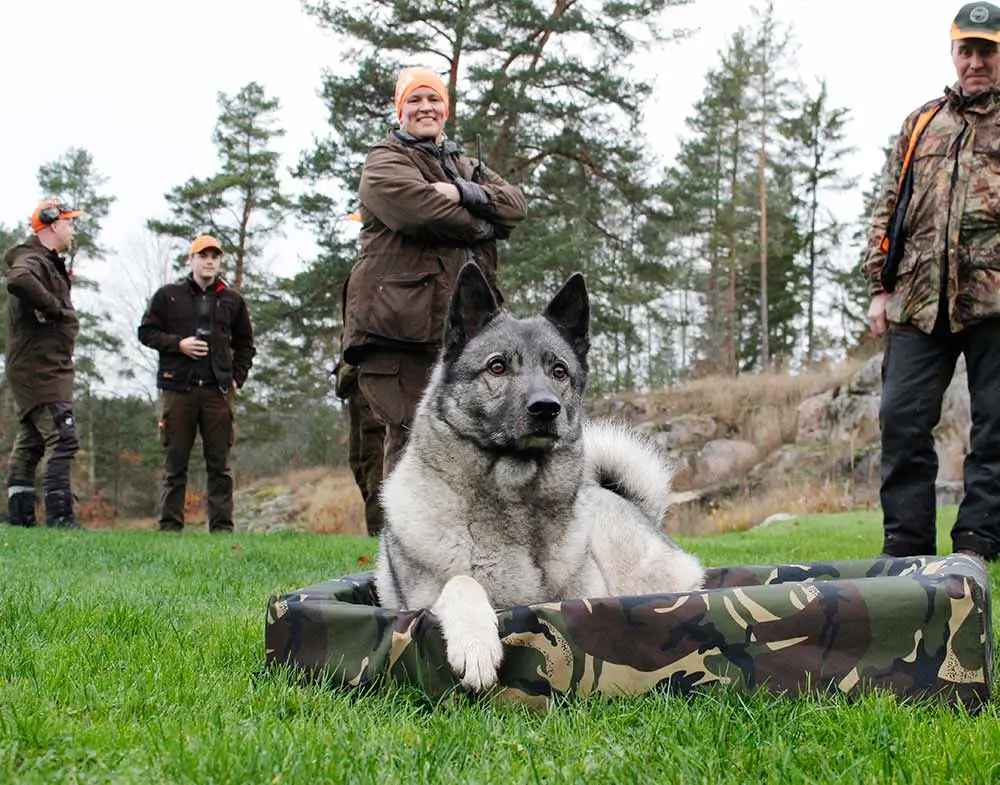 Biabädd Camo - Hundbädd Camouflage