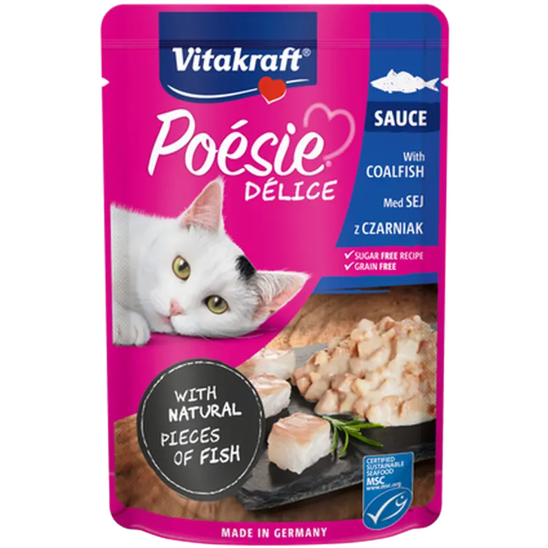 Poésie Délice Pollock Msc