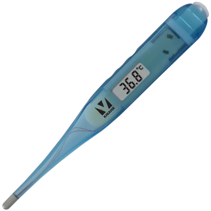 Digital Termometer