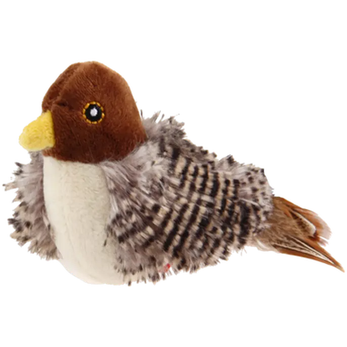 Melody Chaser Bird