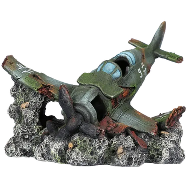 Crashed Raven