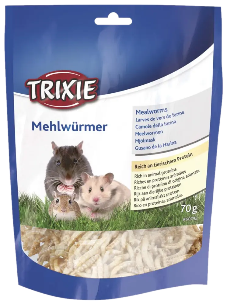 Mealworms dried Torkad Mjölmask