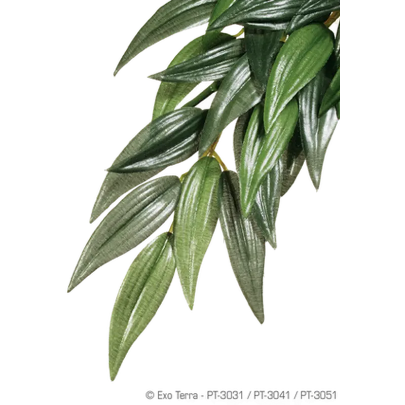 Rucus (Silk) - Hanging Rainforest/Jungle Plants