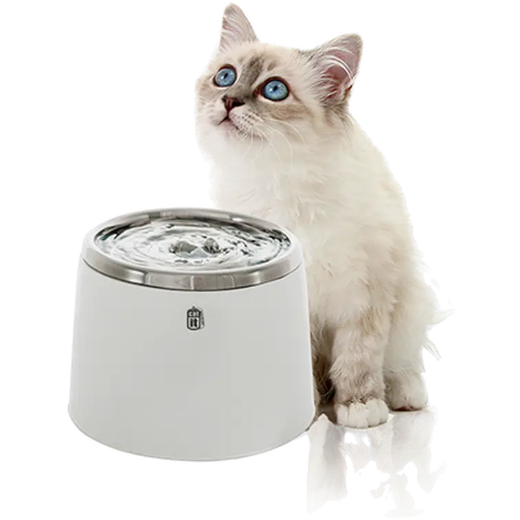 Fresh & Clear Drinking Fountain 2L Stainless Steel