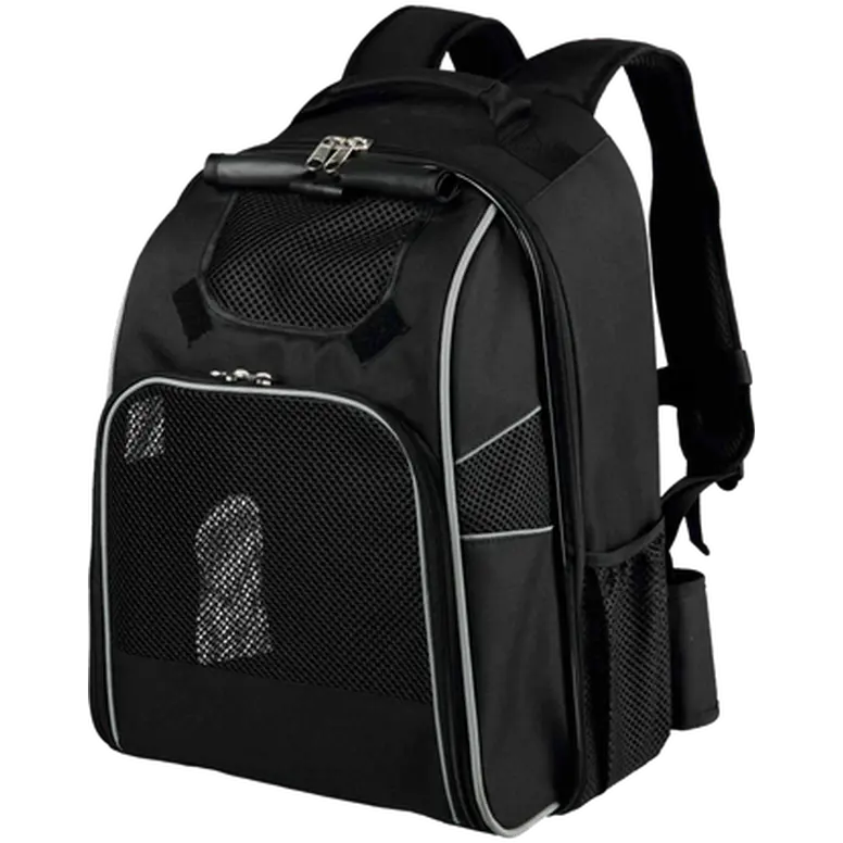 Friends On Tour William Backpack Travel