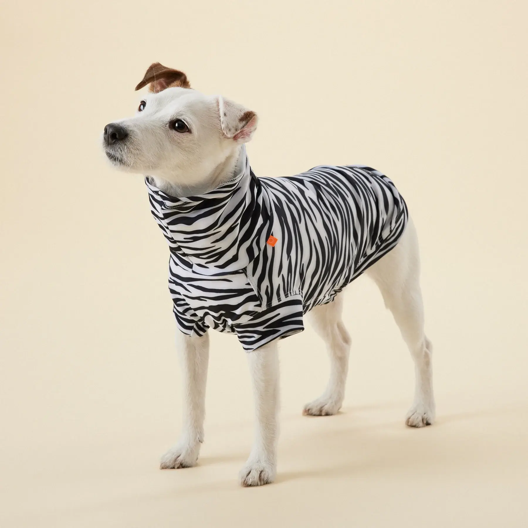UV & Bug Shirt with Repeltec
