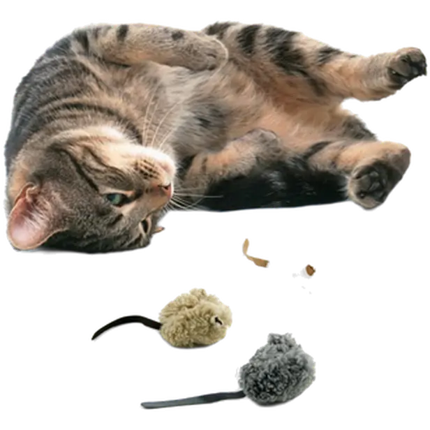 LAM Wooly Mouse Cat Toy