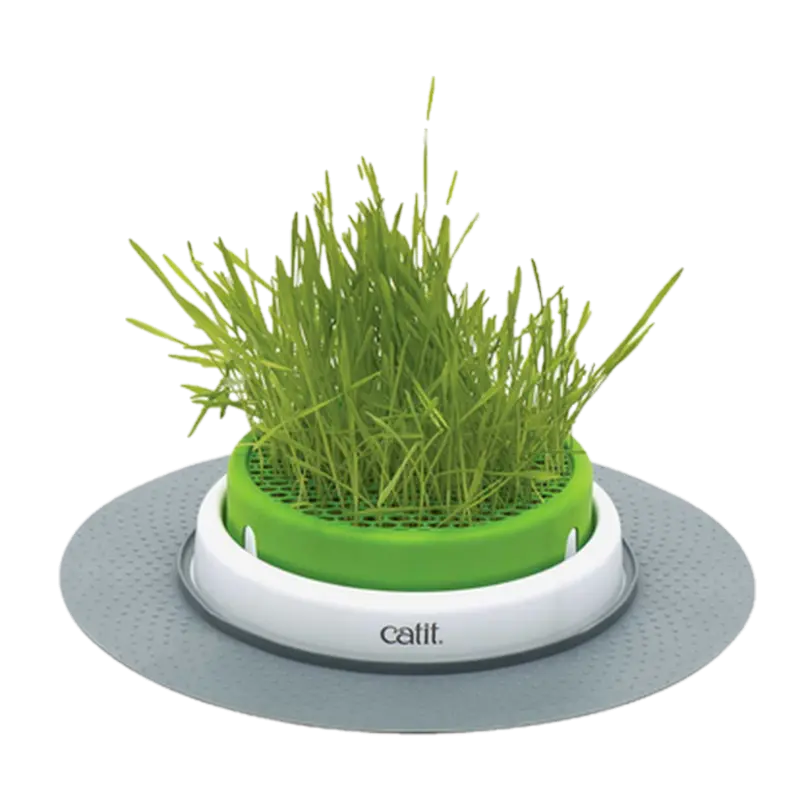 Senses 2.0 Grass Planter