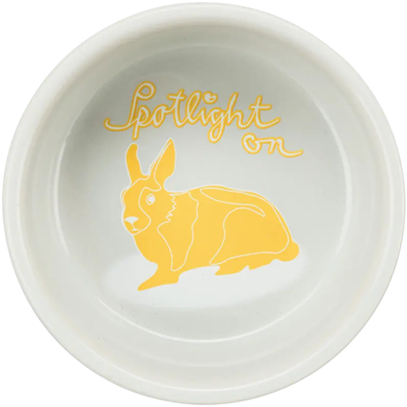 Ceramic Bowl Comic Rabbits
