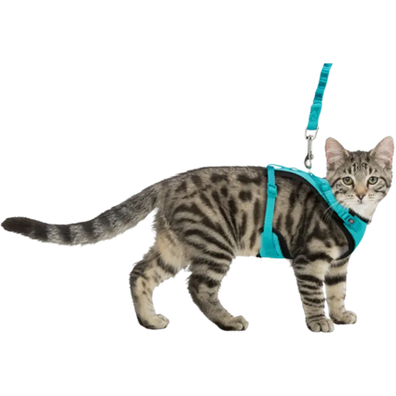 Cat Mesh Y-Harness with Fully Elastic Leash