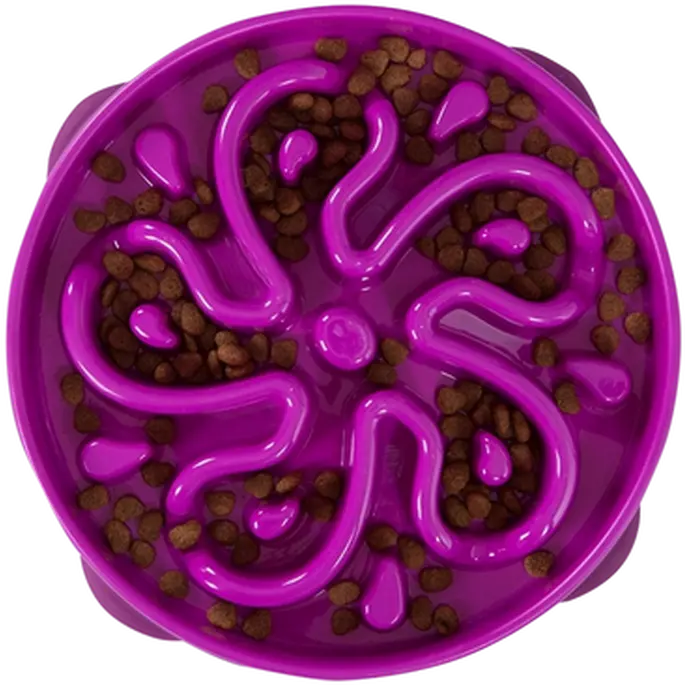 Fun Feeder Slo-Bowl Purple