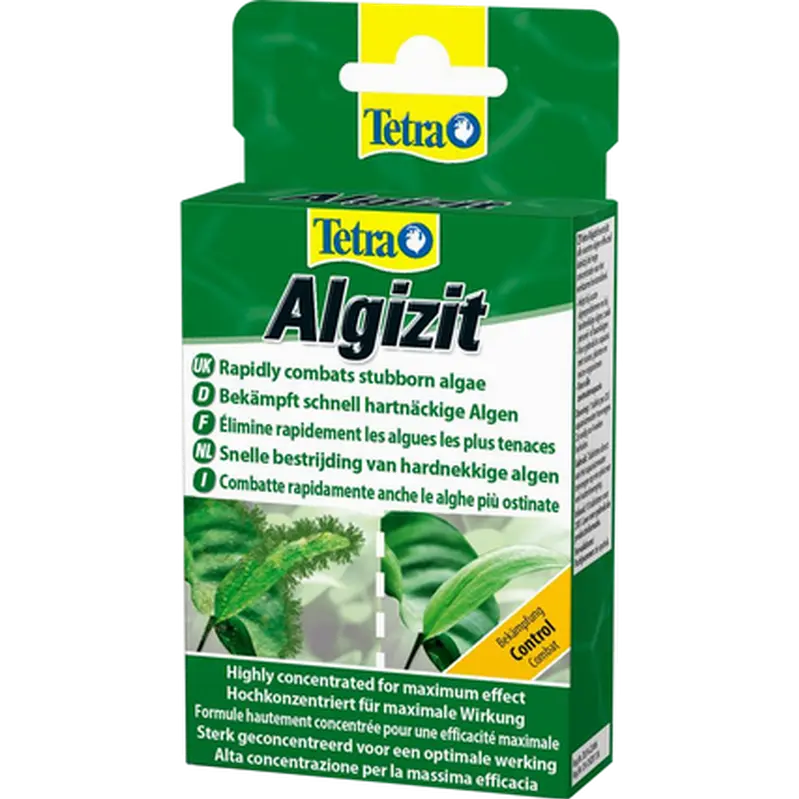 Algizit