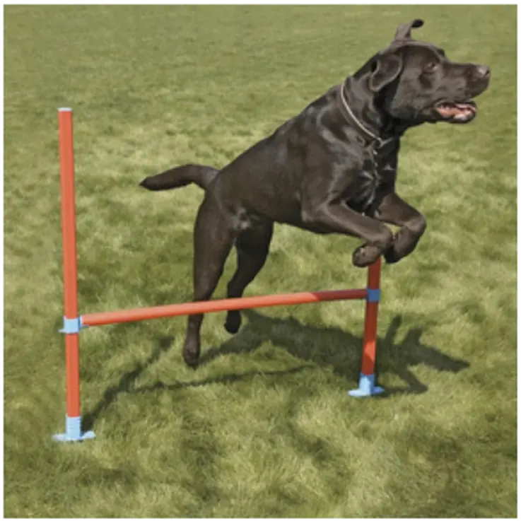 Range Hurdle
