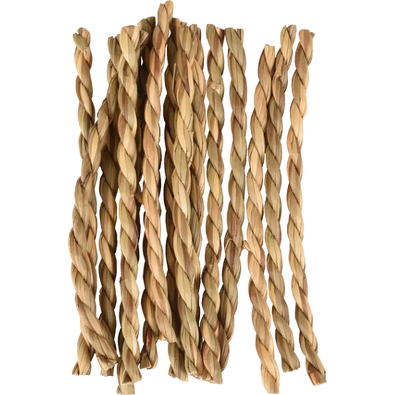 Sat Algi Chewing Rope Seagrass Nature