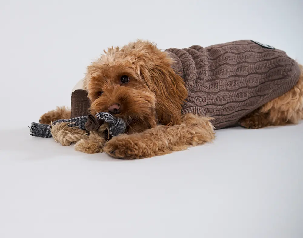 Hundleksak Bailey