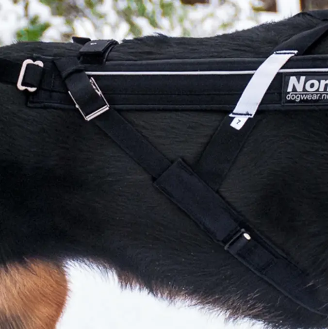 Static sidestrap freemotion harness 5.0