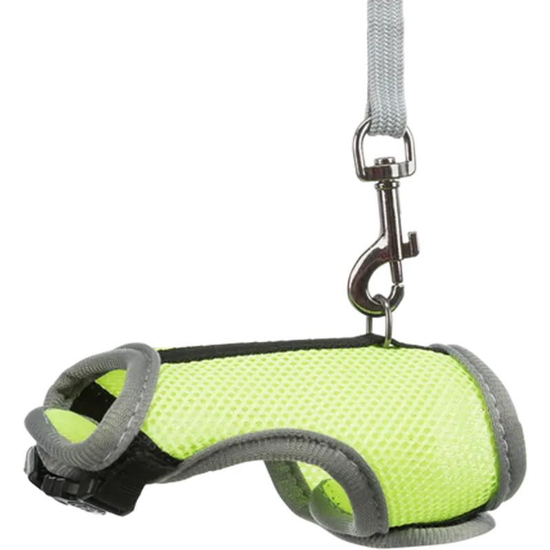 Soft Soft Harness with Leash Rat